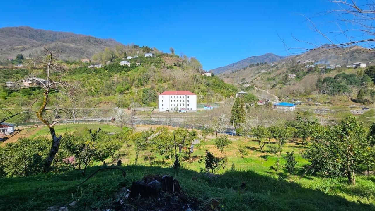 Khala Guest Hause Giorgi,Kobuleti- Xala 아파트 외부 사진